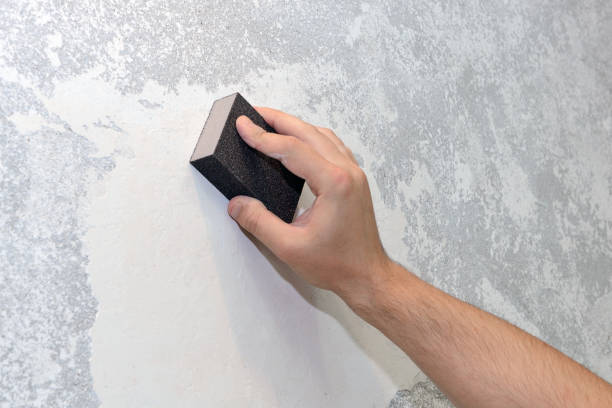 Best Black Mold Removal  in Lisbon, OH