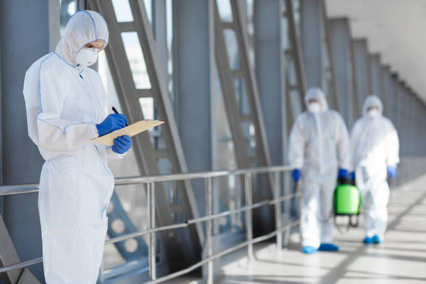 Best Basement Mold Removal  in Lisbon, OH