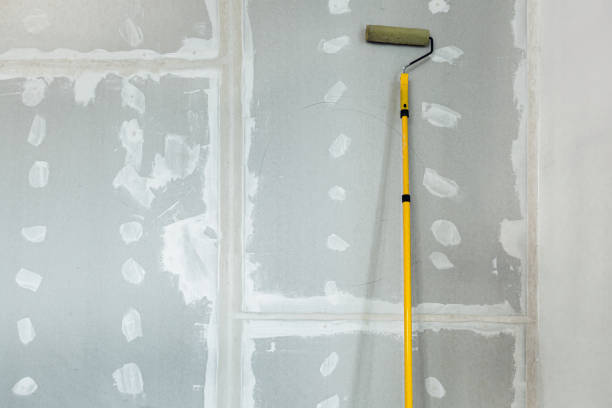 Trusted Lisbon, OH Mold Removal Experts